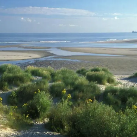 Apartment On The Center Of Bray-Dunes *