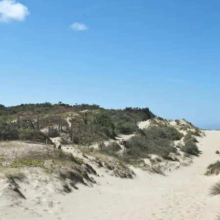 Apartment On The Center Of Bray-Dunes 아파트